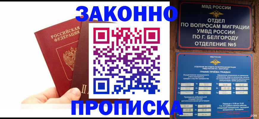 временная регистрация для школы в Кимовске